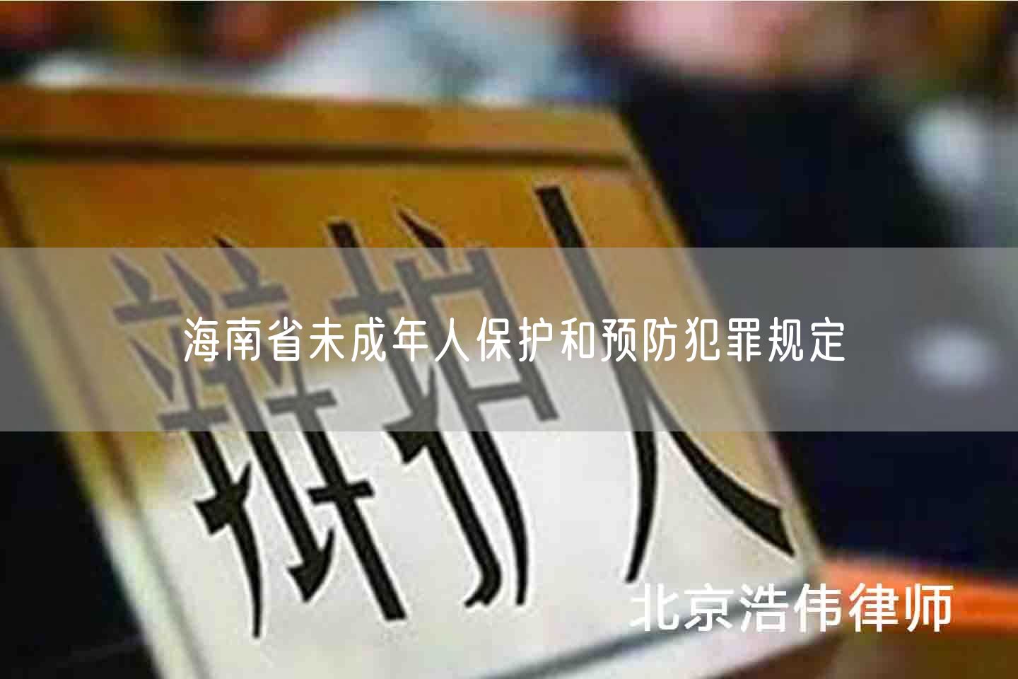 海南省未成年人保护和预防犯罪规定